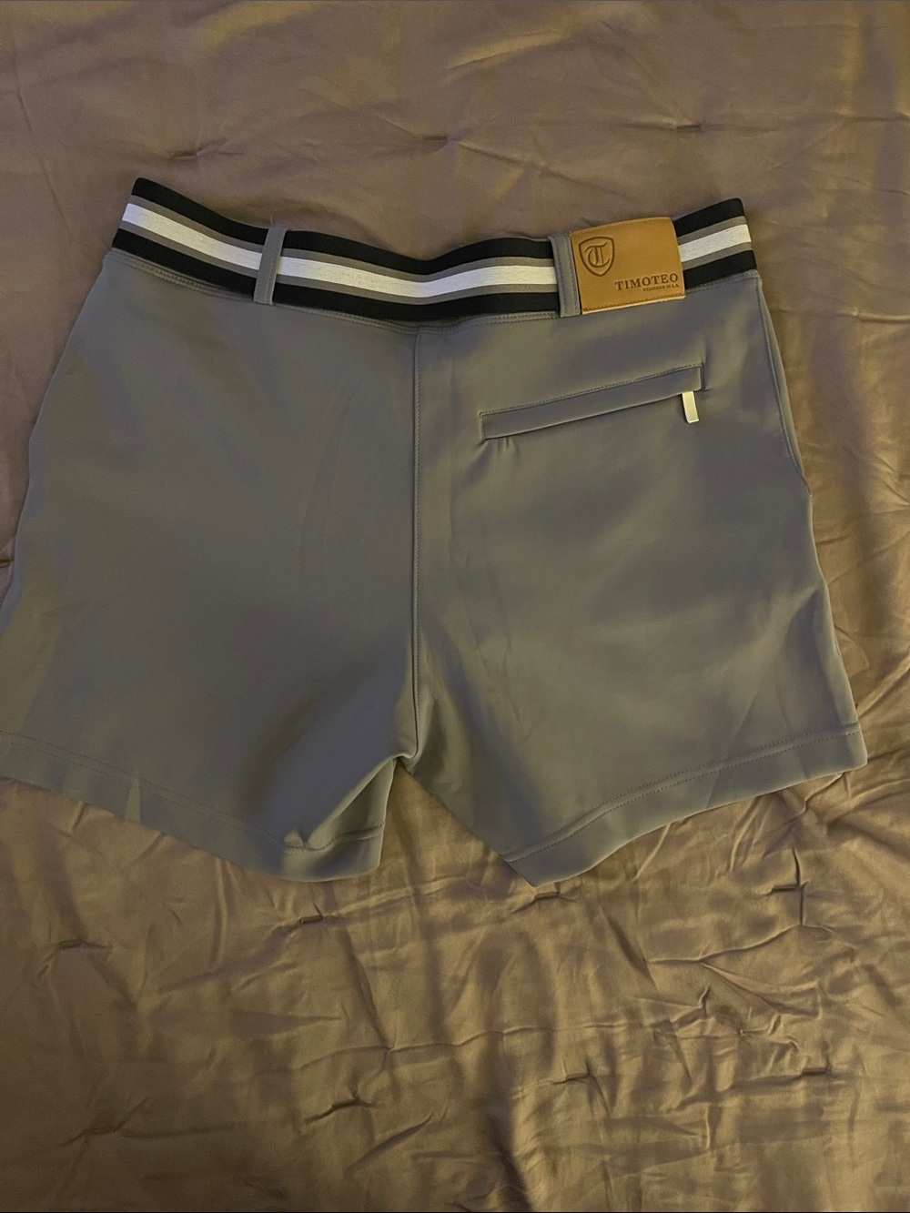 Timoteo Gray Swim Trunks with Striped Waistband - Picture 2 of 5
